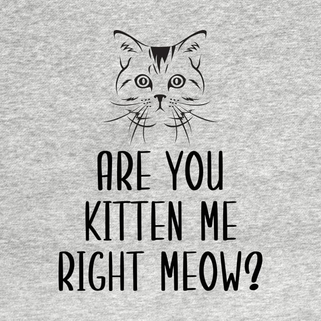 Are You Kitten Me Right Meow by Health